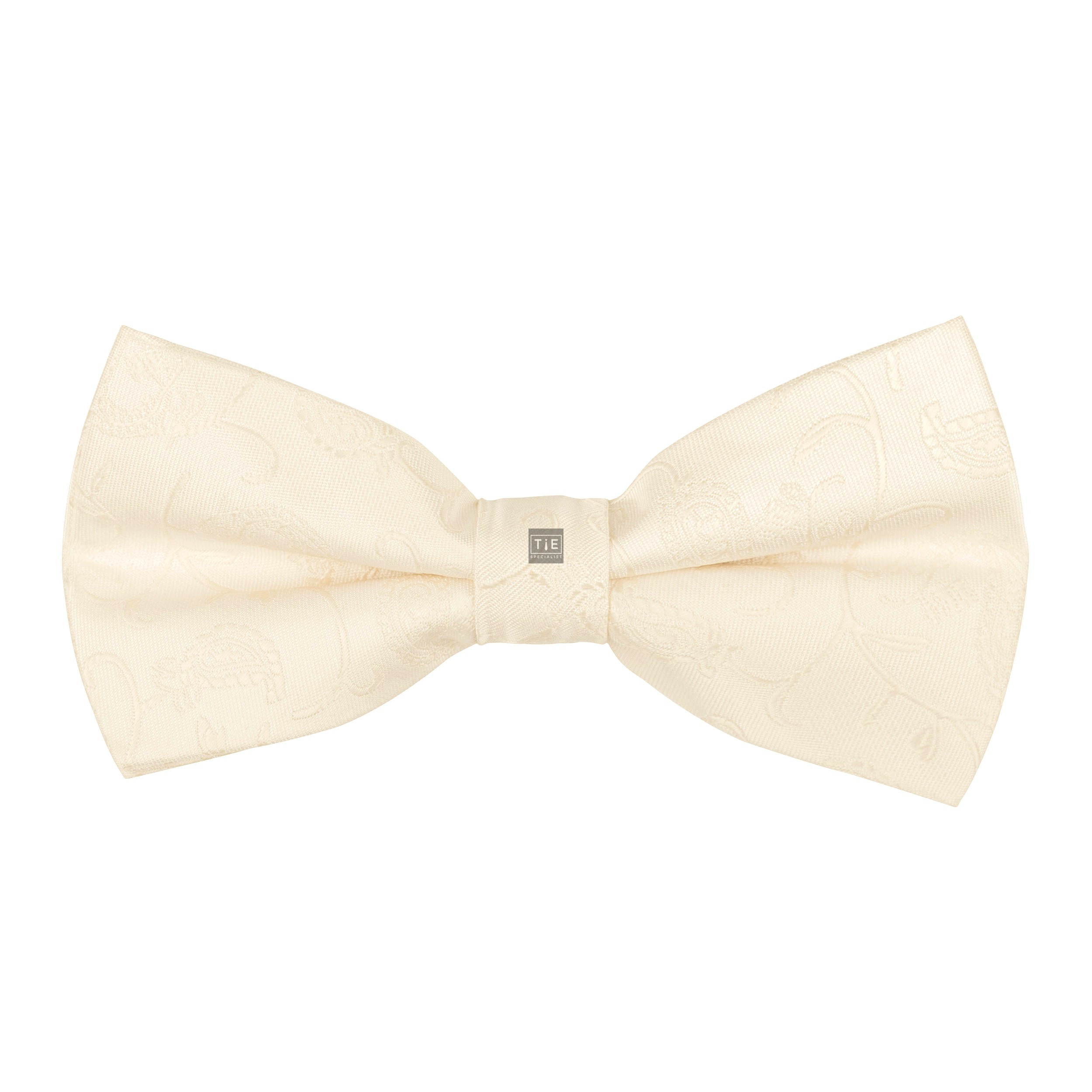 Cream Budding Paisley Bow Tie #AB-BB1003/9