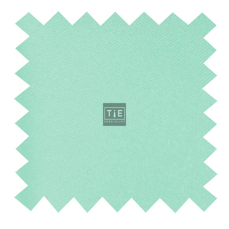 Mint Ambrosia Swatch #AB-SWA1009/24