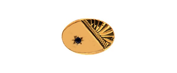 Gold Sapphire 9ct Gold Tie Tac #DT-1163