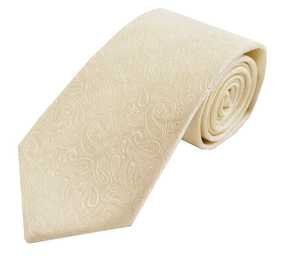 Ivory Modern Paisley Tie #F1541/7