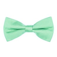 Shadow Lime Bow Tie #AB-BB1009/41