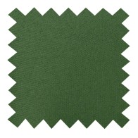 Piquant Green Swatch #AB-SWA1009/26