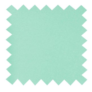 Plain Mint Ambrosia Swatch #AB-SWA1009/24