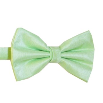Mint Shantung Wedding Bow Tie #BB1867A/2