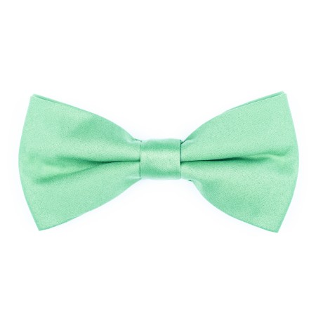 Shadow Lime Bow Tie #AB-BB1009/41