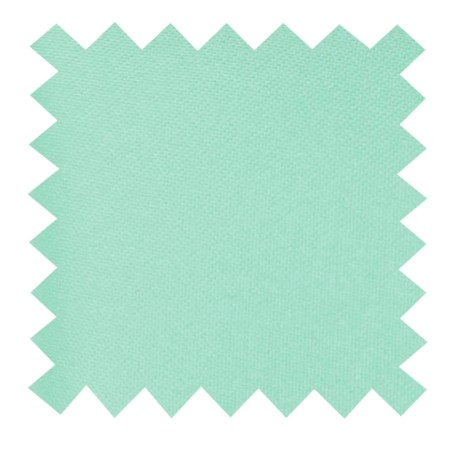 Mint Ambrosia Swatch #AB-SWA1009/24