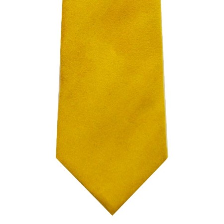 Gold Suede Effect Tie #T1869/10