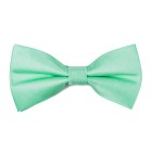 Green Ash Shantung Bow Tie #AB-BB1005/15