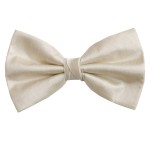 Cream Shantung Silk Bow Tie ((B5016/3))