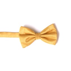 Gold Shantung Bow Tie #BB1864/6