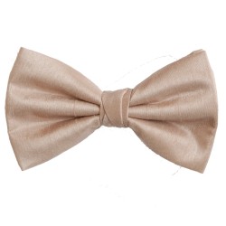 Champagne Shantung Wedding Bow Tie #BB1866/5