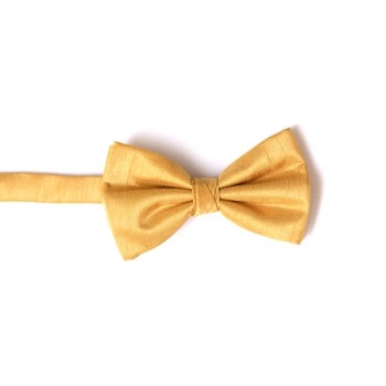 Gold Shantung Bow Tie #BB1864/6