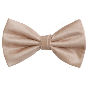 Champagne Shantung Wedding Bow Tie #BB1866/5