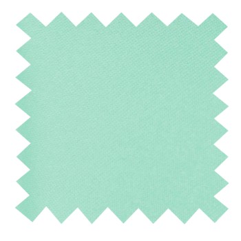 Plain Mint Ambrosia Swatch #AB-SWA1009/24