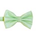 Mint Shantung Wedding Bow Tie